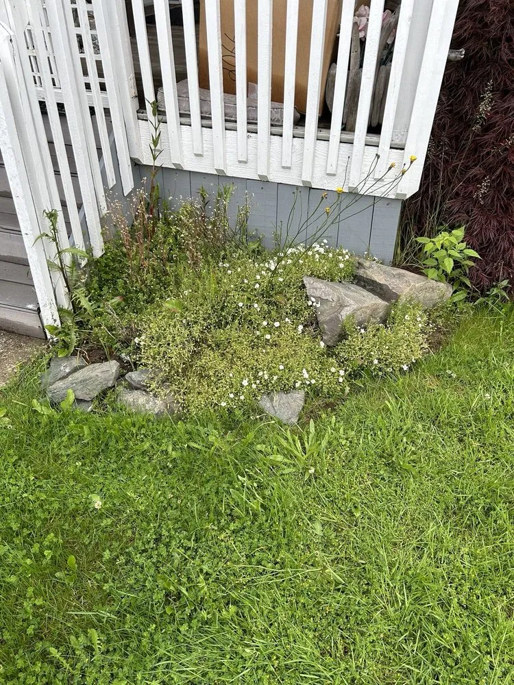 Affordable landscaping services in Edgewood, WA by 12th Lady Lawn Care