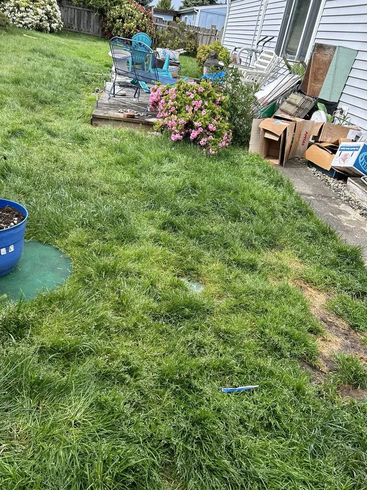 Trusted outdoor landscaping experts serving Edgewood, WA - 12th Lady Lawn Care