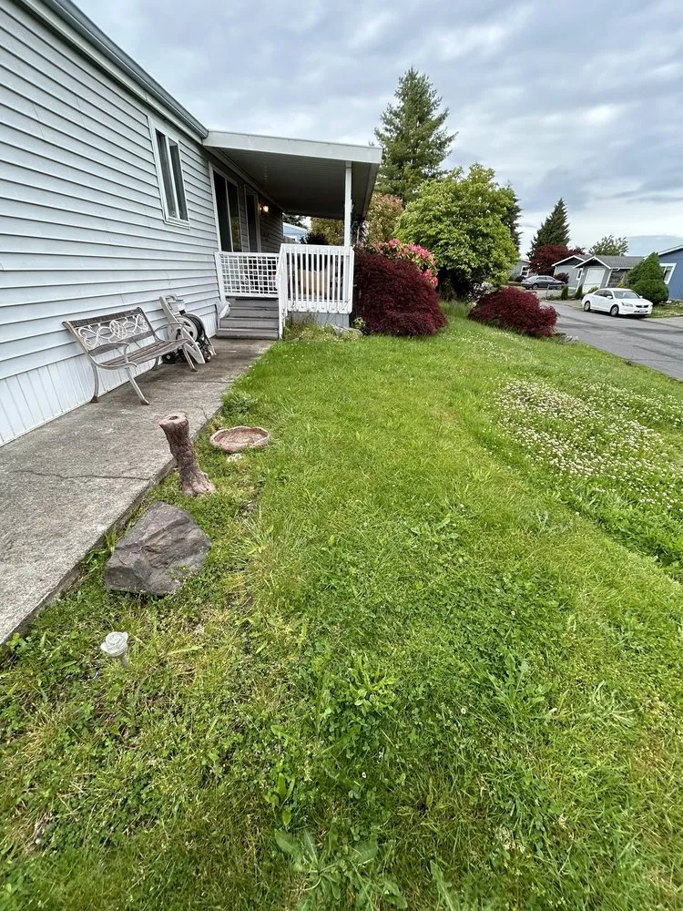 Top-rated yard maintenance in Edgewood, WA by 12th Lady Lawn Care