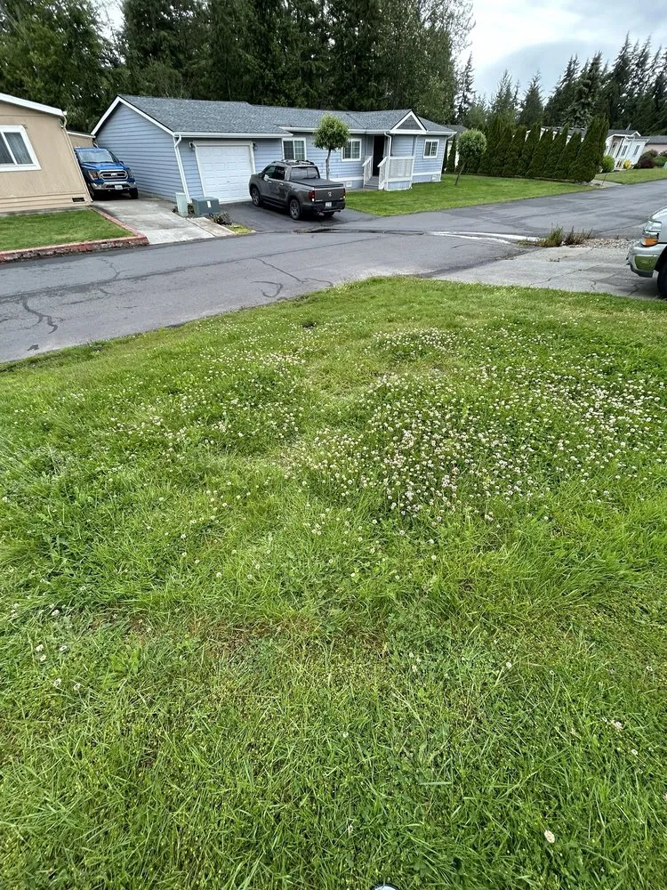 Professional landscape installation near you in Edgewood, WA by 12th Lady Lawn Care