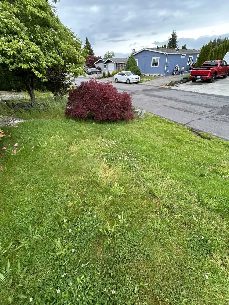 Local landscaping services experts serving Edgewood, WA - 12th Lady Lawn Care