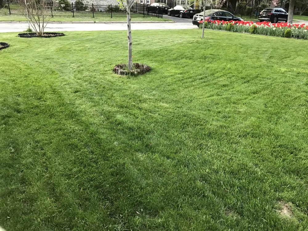 Professional garden landscaping for residential properties in College Station, TX by 12th Man Mowing