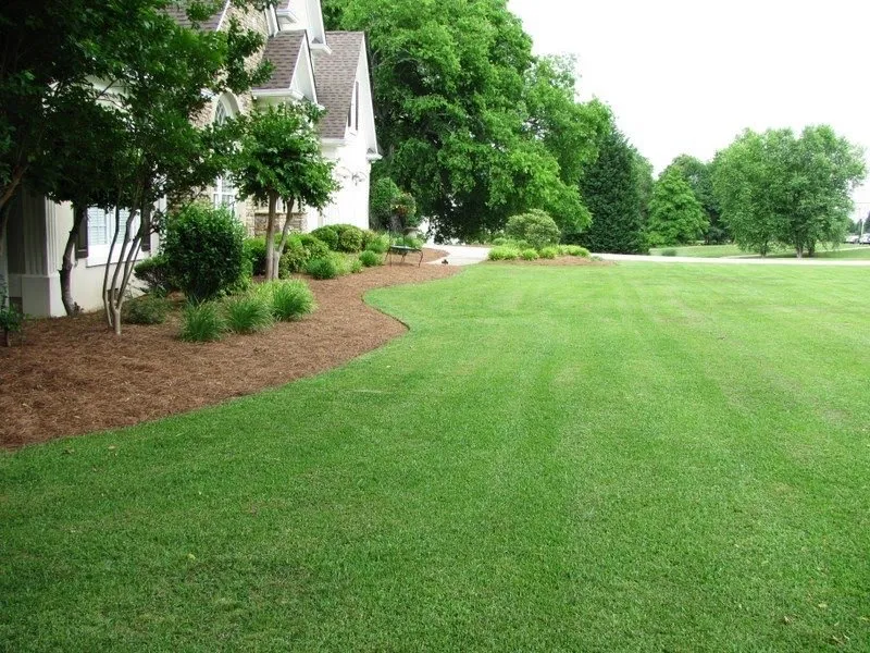 Professional yard maintenance experts serving College Station, TX - 12th Man Mowing