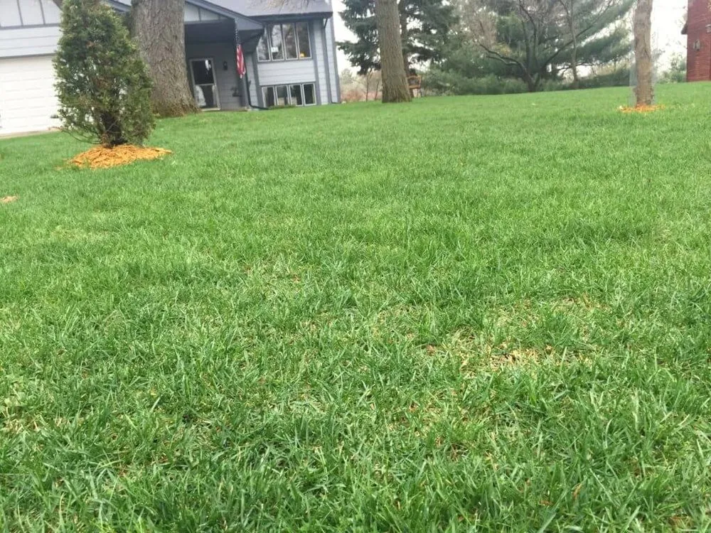 Reliable landscape design in College Station, TX by 12th Man Mowing