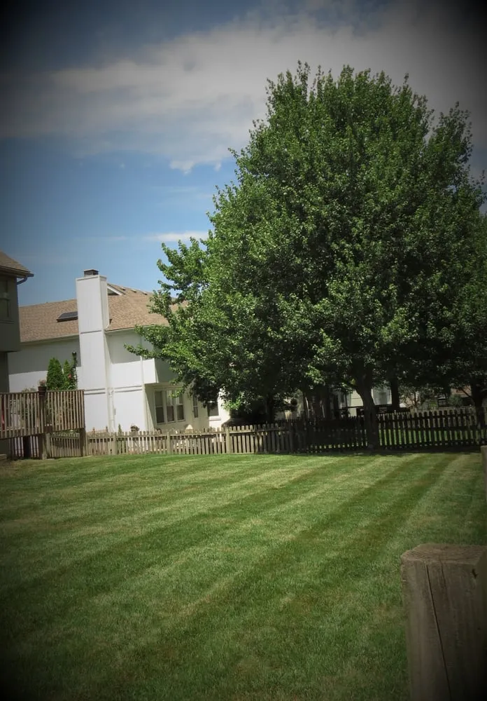 Reliable garden landscaping for outdoor upgrades in Blue Springs, MO by 13 Lawns