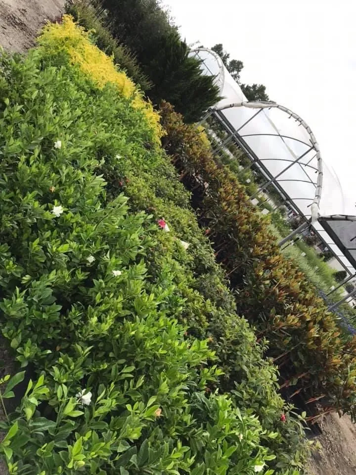 Trusted landscaping services for outdoor upgrades in Conroe, TX by 1314 Landscape Solution