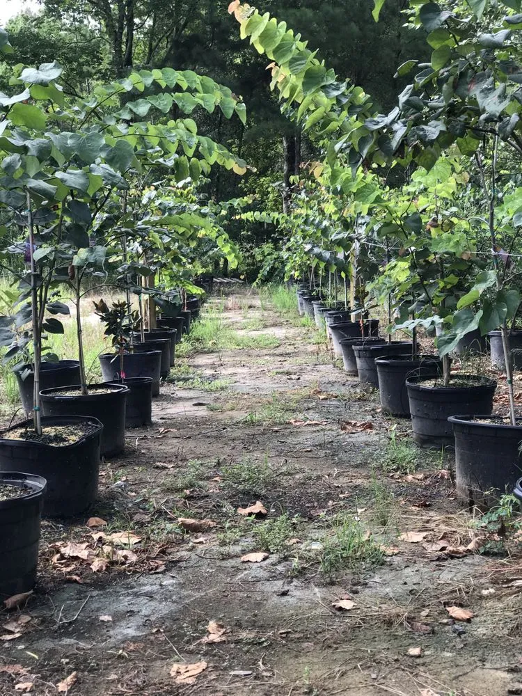 Custom garden landscaping in Conroe, TX - 1314 Landscape Solution