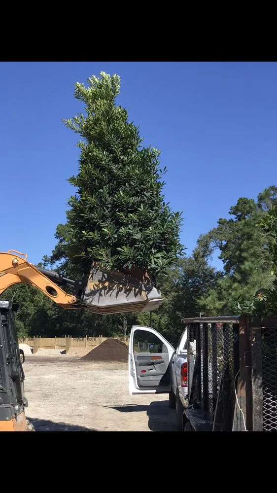 Top-rated landscaping services for homes across Conroe, TX - 1314 Landscape Solution