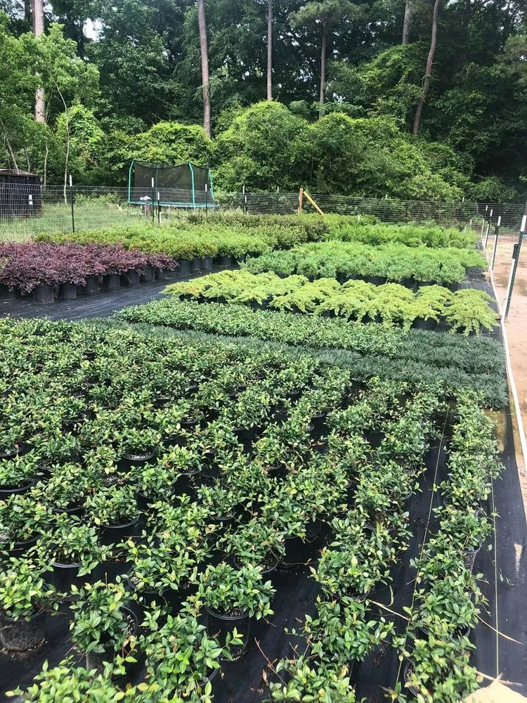 Local outdoor landscaping near you across Conroe, TX - 1314 Landscape Solution