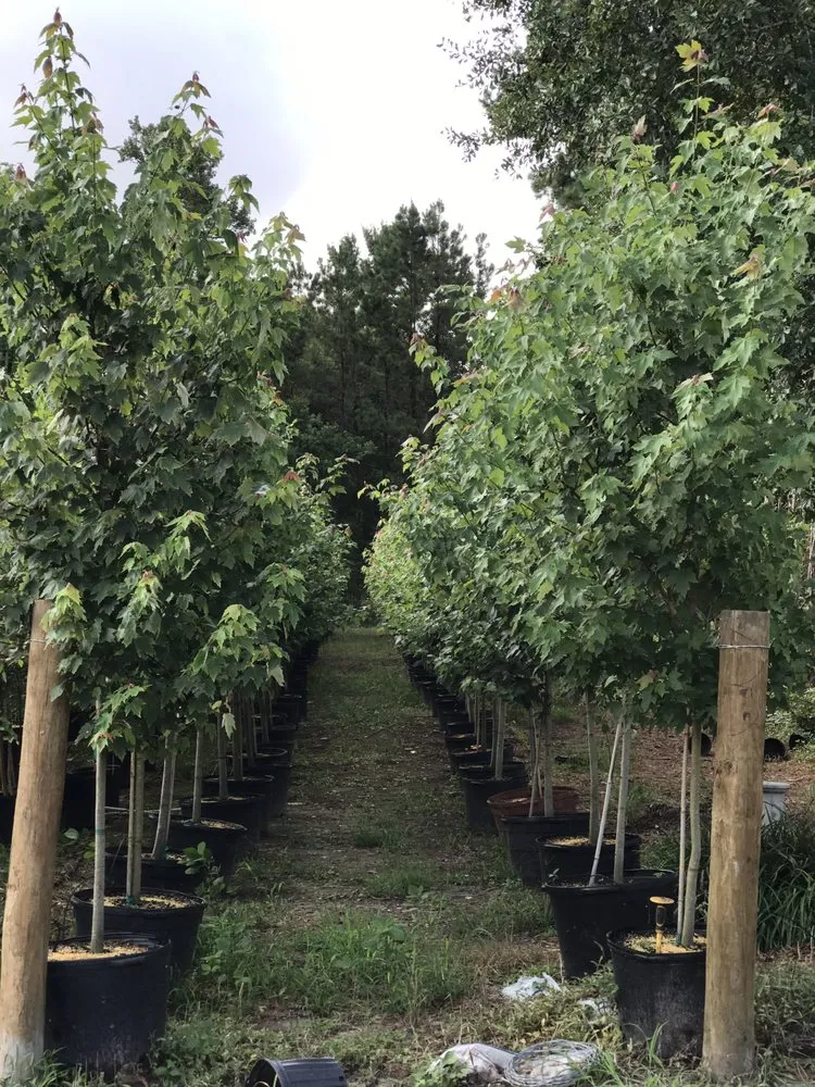 Trusted lawn mowing service in Conroe, TX by 1314 Landscape Solution