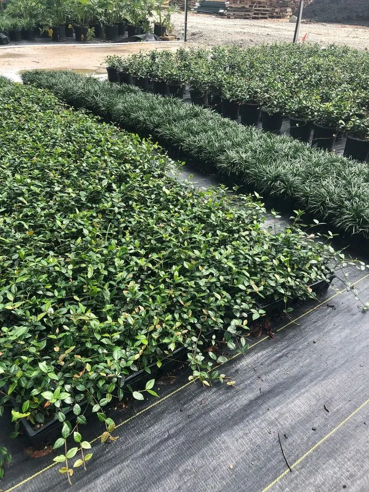 Expert landscape design for outdoor upgrades in Conroe, TX by 1314 Landscape Solution