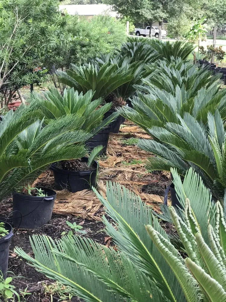 Top-rated yard maintenance experts serving Conroe, TX - 1314 Landscape Solution