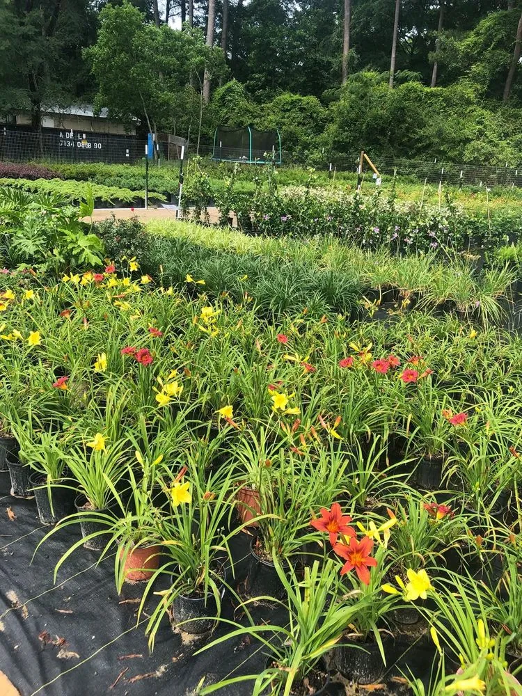 Professional landscape design with custom design in Conroe, TX by 1314 Landscape Solution