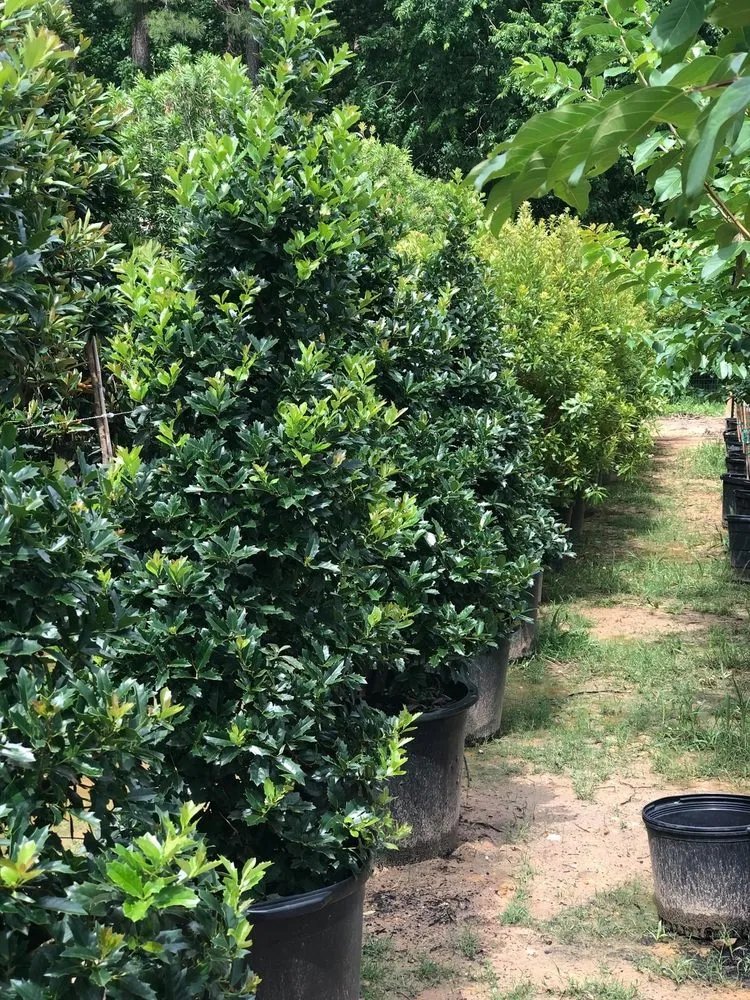 Expert outdoor landscaping in Conroe, TX by 1314 Landscape Solution