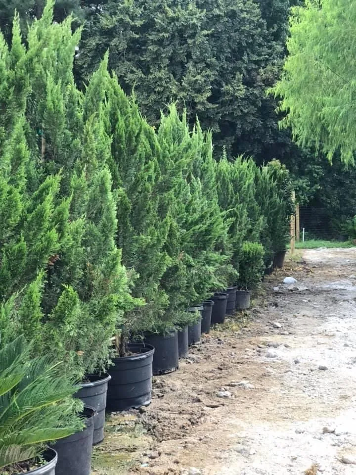 Trusted outdoor landscaping near you in Conroe, TX by 1314 Landscape Solution