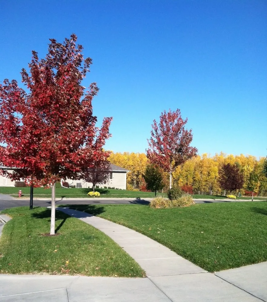 Custom landscaping services in Lincoln, NE by 1776 Grounds Maintenace