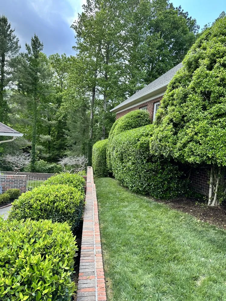 Local lawn mowing service for residential properties in Elmwood, TN by 1796 Groundworks