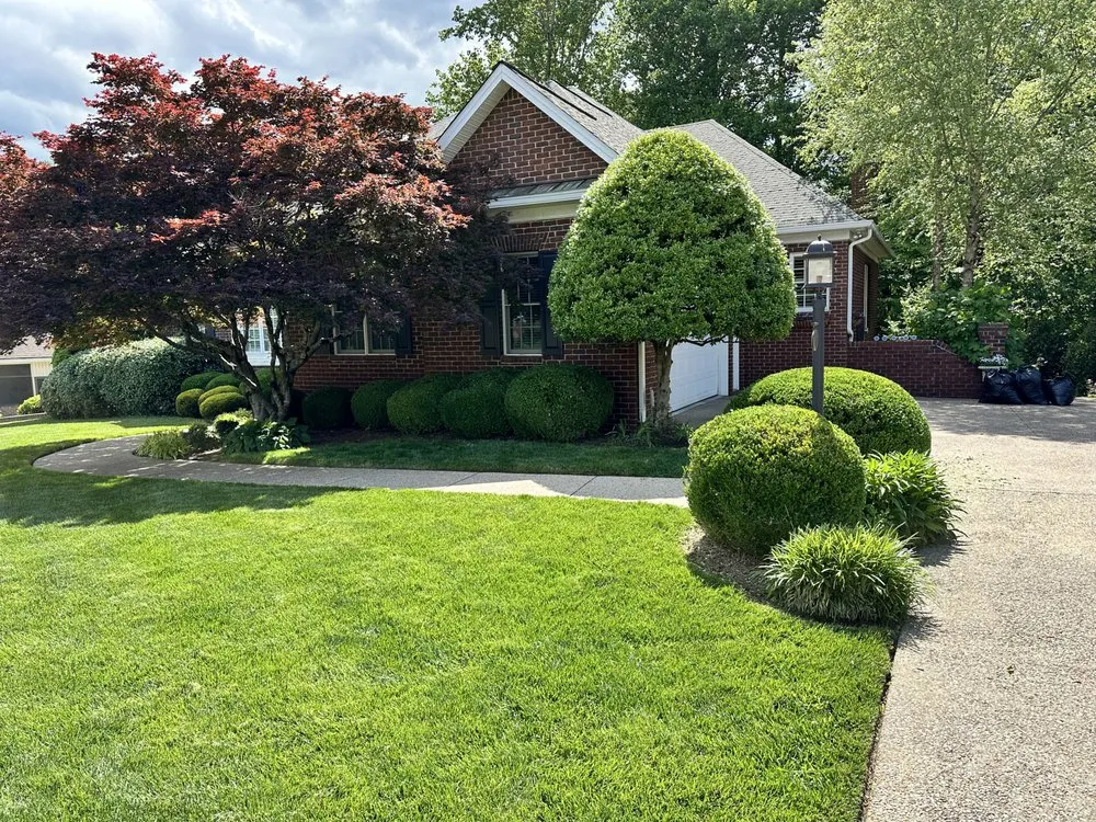 Affordable lawn care service for year-round maintenance in Elmwood, TN by 1796 Groundworks