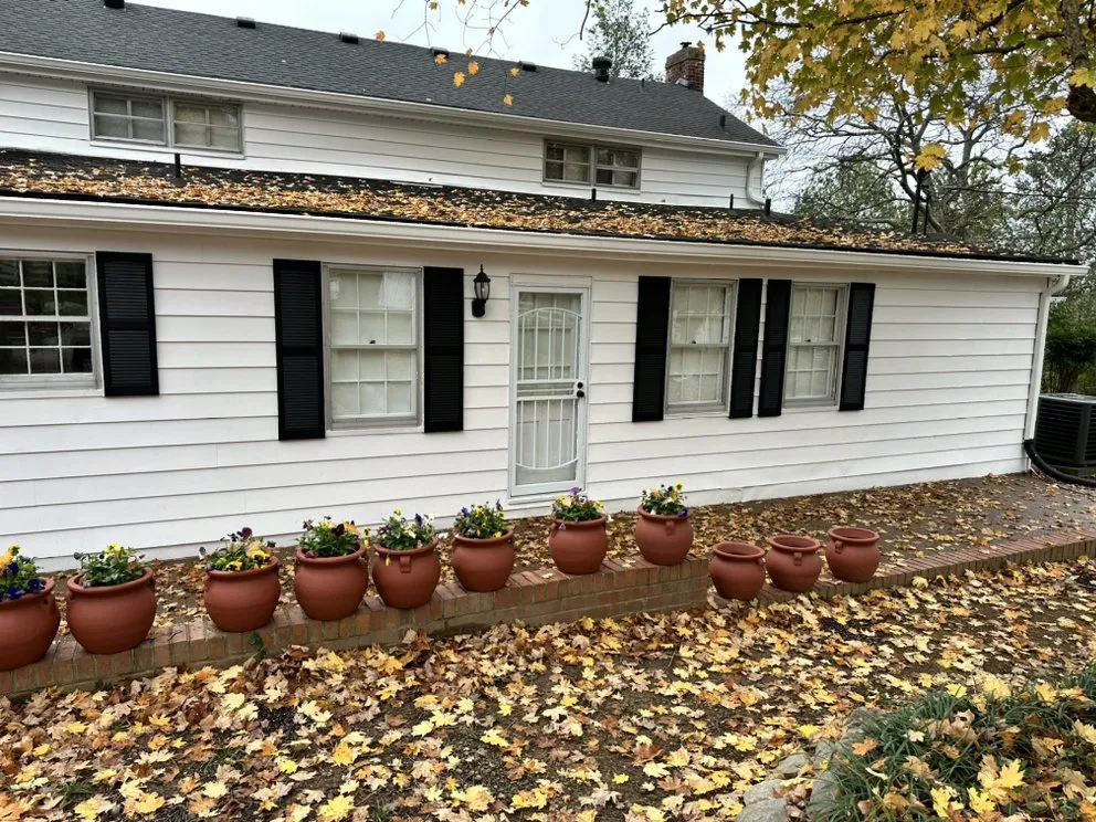 Expert yard cleanup service experts serving Elmwood, TN - 1796 Groundworks