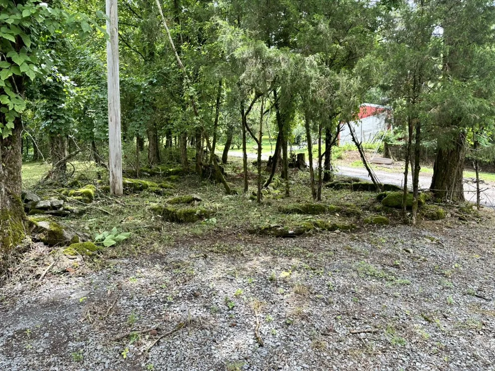 Expert yard cleanup service in Elmwood, TN by 1796 Groundworks