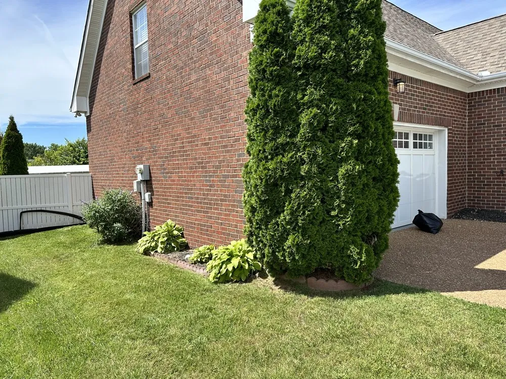 Expert yard cleanup service for homes across Elmwood, TN - 1796 Groundworks