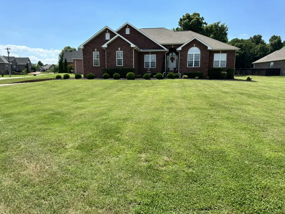 Expert residential landscaping for beautiful yards in Elmwood, TN by 1796 Groundworks