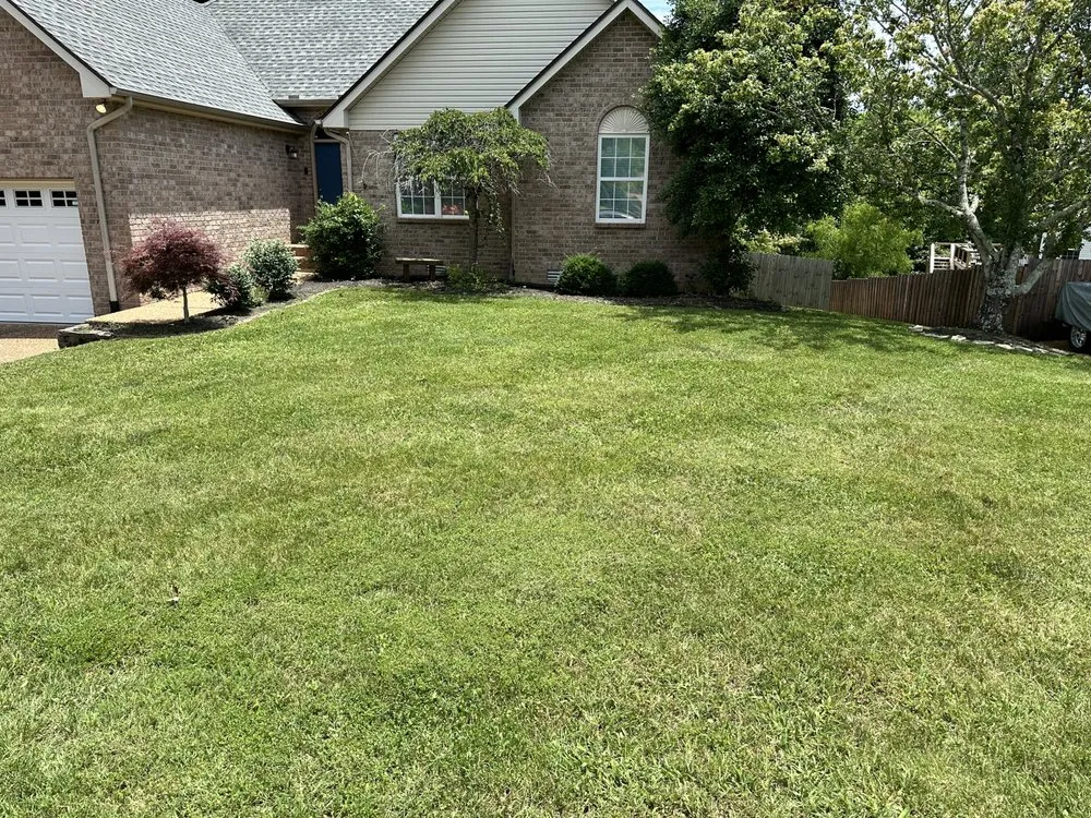 Top-rated yard cleanup service for homes across Elmwood, TN - 1796 Groundworks
