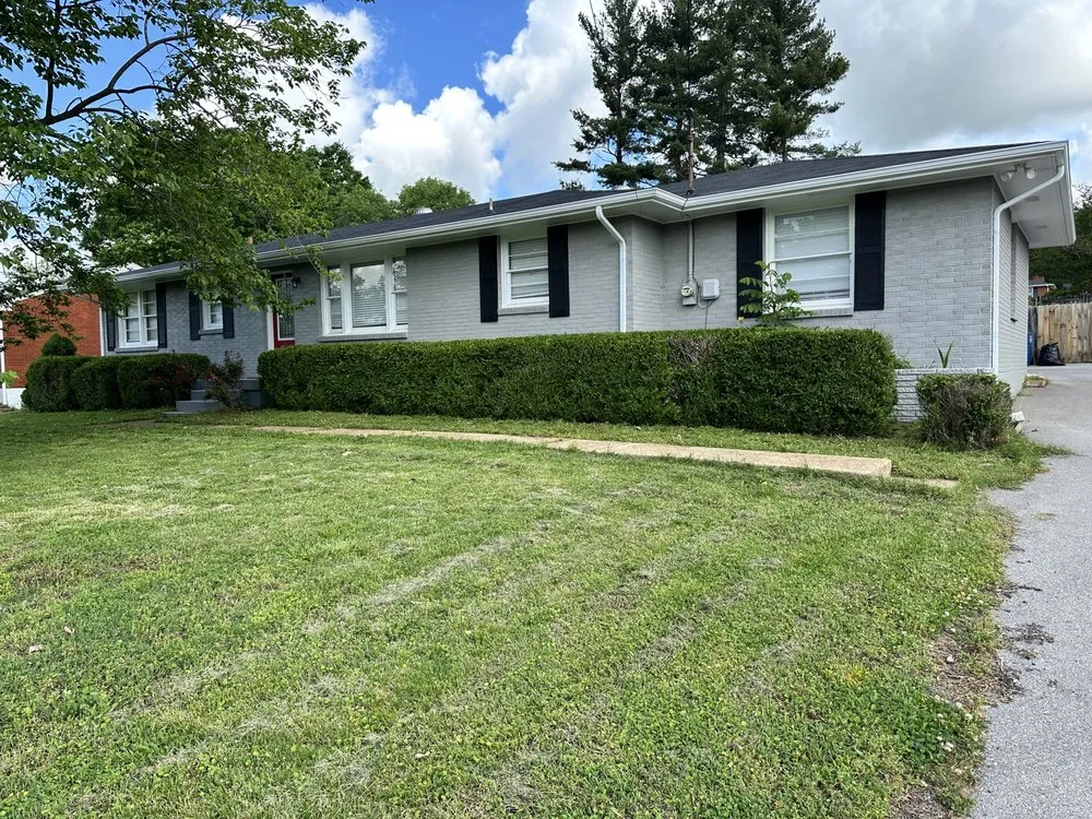 Custom yard cleanup service experts serving Elmwood, TN - 1796 Groundworks