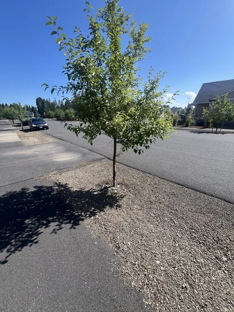 Trusted yard cleanup service experts serving Bend, OR - 180 Landscape Maintenance