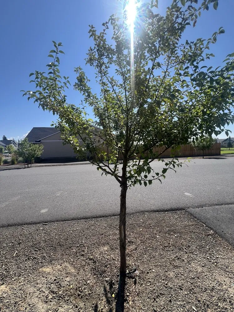 Top-rated lawn mowing service in Bend, OR - 180 Landscape Maintenance