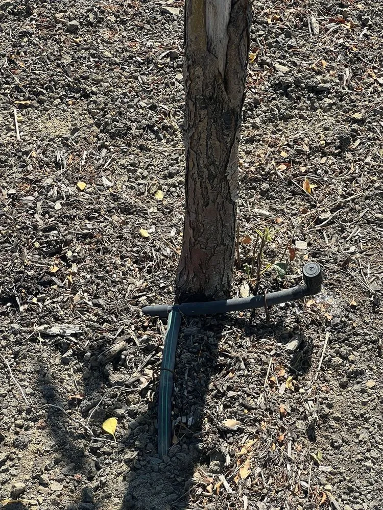 Top-rated lawn mowing service for year-round maintenance in Bend, OR by 180 Landscape Maintenance