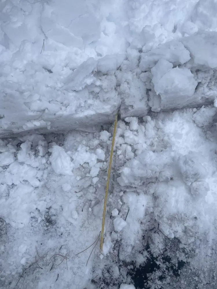 Reliable lawn care service in Bend, OR by 180 Landscape Maintenance