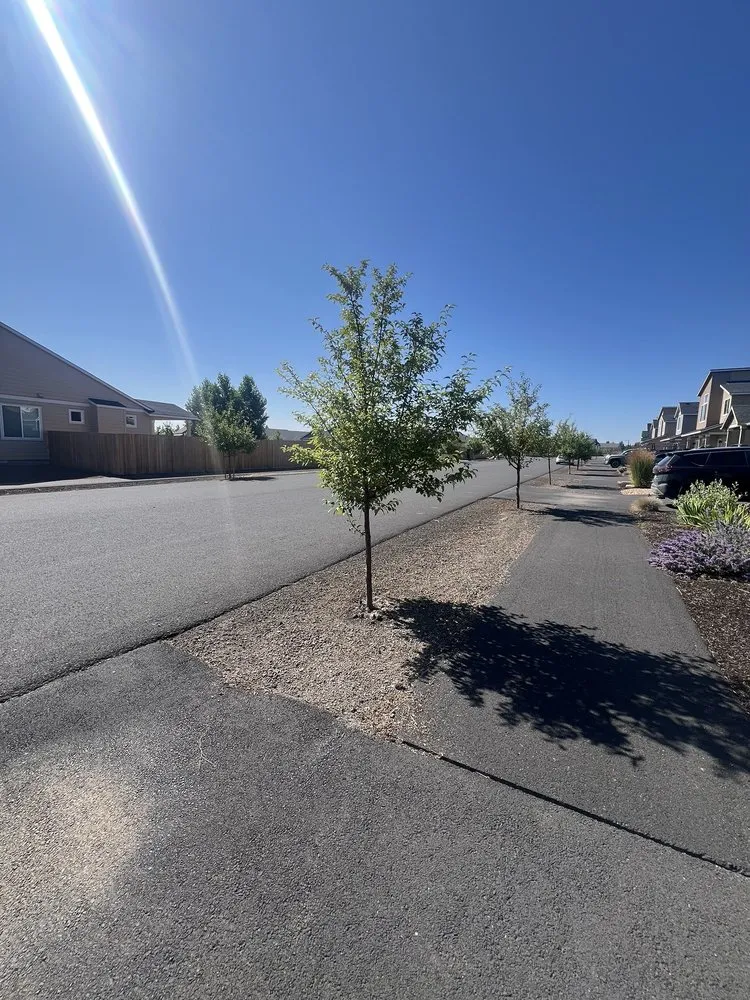 Professional yard cleanup service for outdoor upgrades across Bend, OR - 180 Landscape Maintenance