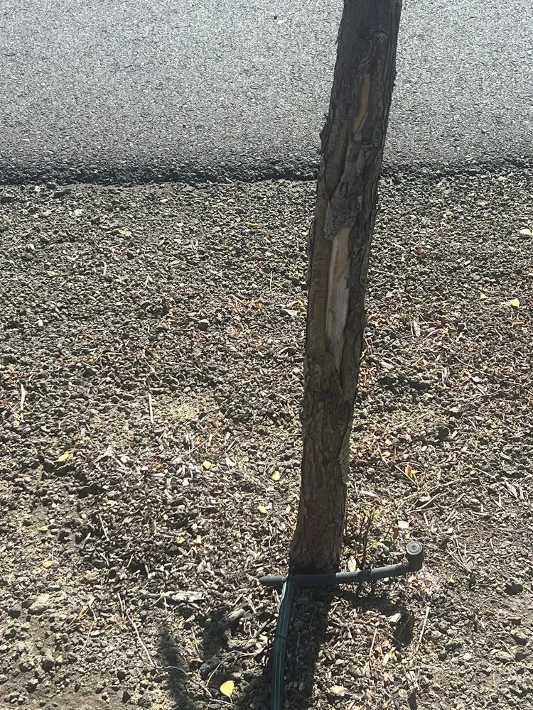 Top-rated landscaping services in Bend, OR by 180 Landscape Maintenance