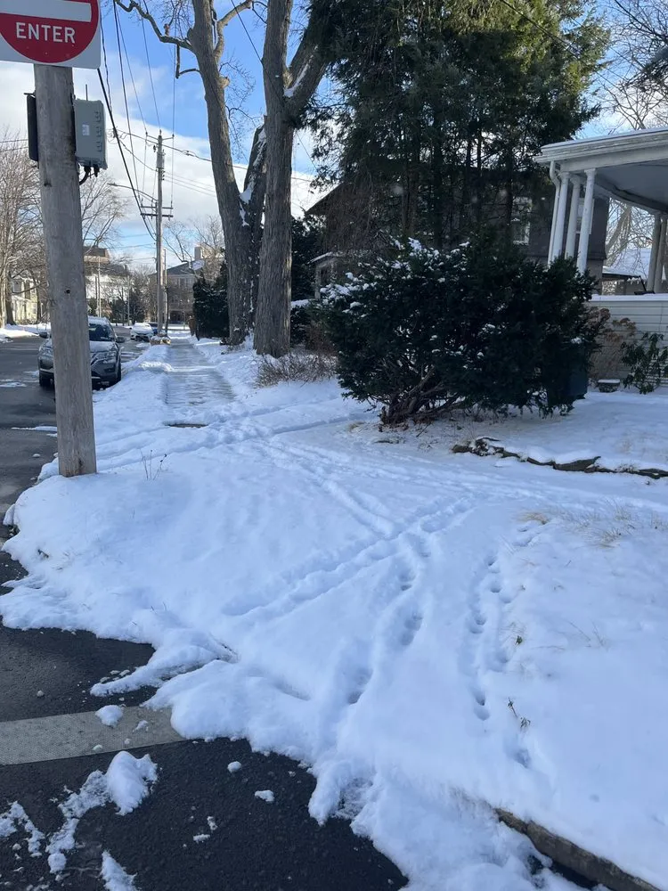 Trusted landscape design in Troy, NY - 180 Services