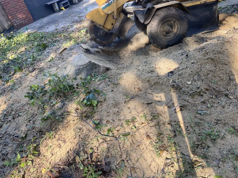 Custom yard maintenance for year-round maintenance across Davie, FL - 1988 Lawn Care