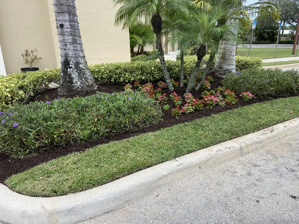 Professional yard cleanup service for residential properties across Davie, FL - 1988 Lawn Care