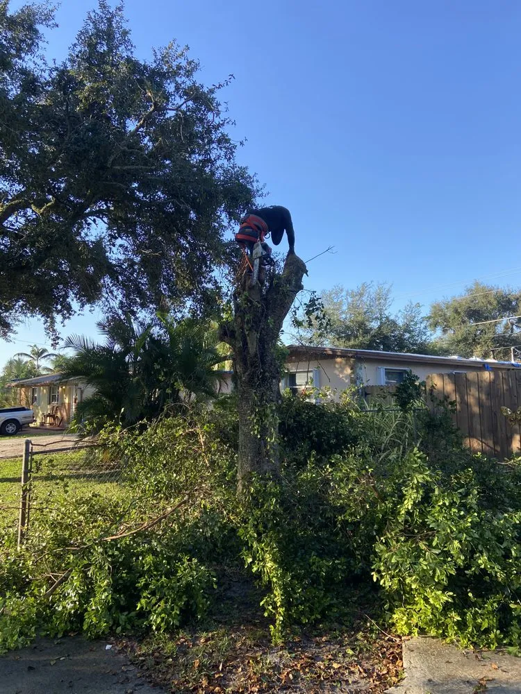 Local yard cleanup service near you across Davie, FL - 1988 Lawn Care