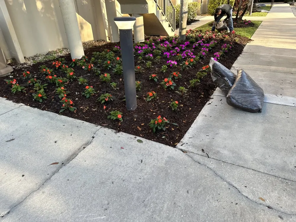 Top-rated garden landscaping for homes in Davie, FL by 1988 Lawn Care