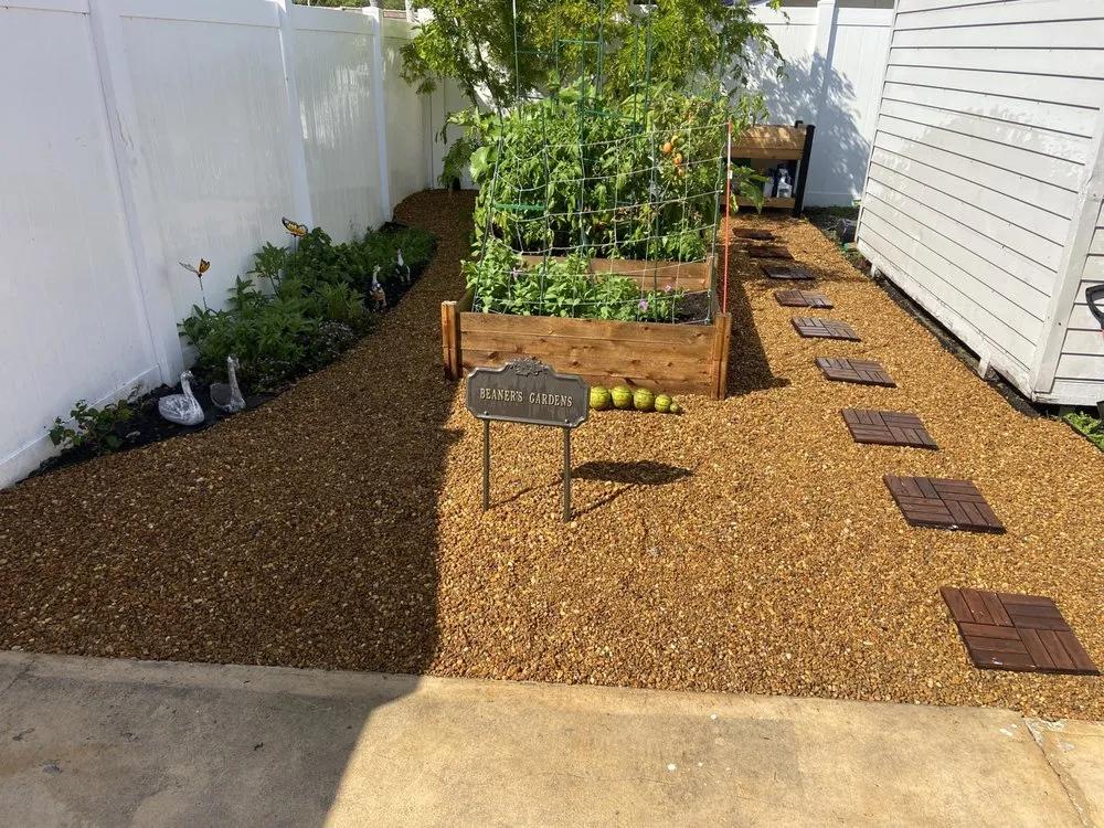 Affordable yard cleanup service for residential properties across Davie, FL - 1988 Lawn Care