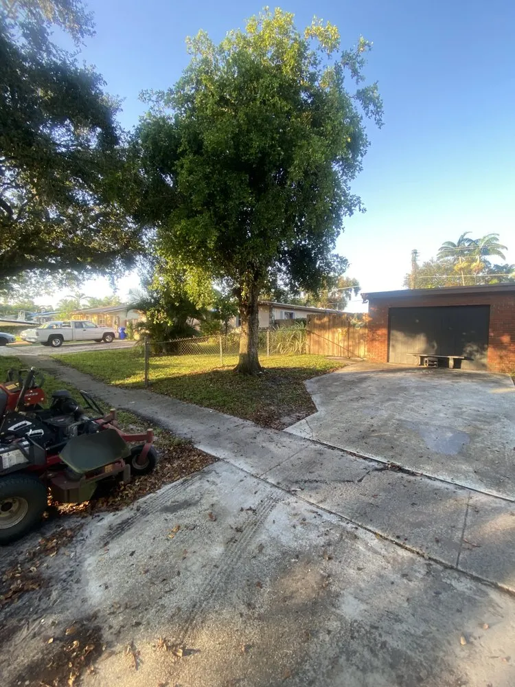 Expert landscape installation experts serving Davie, FL - 1988 Lawn Care