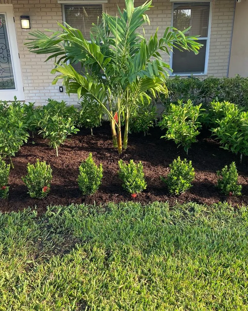 Expert residential landscaping experts serving Davie, FL - 1988 Lawn Care