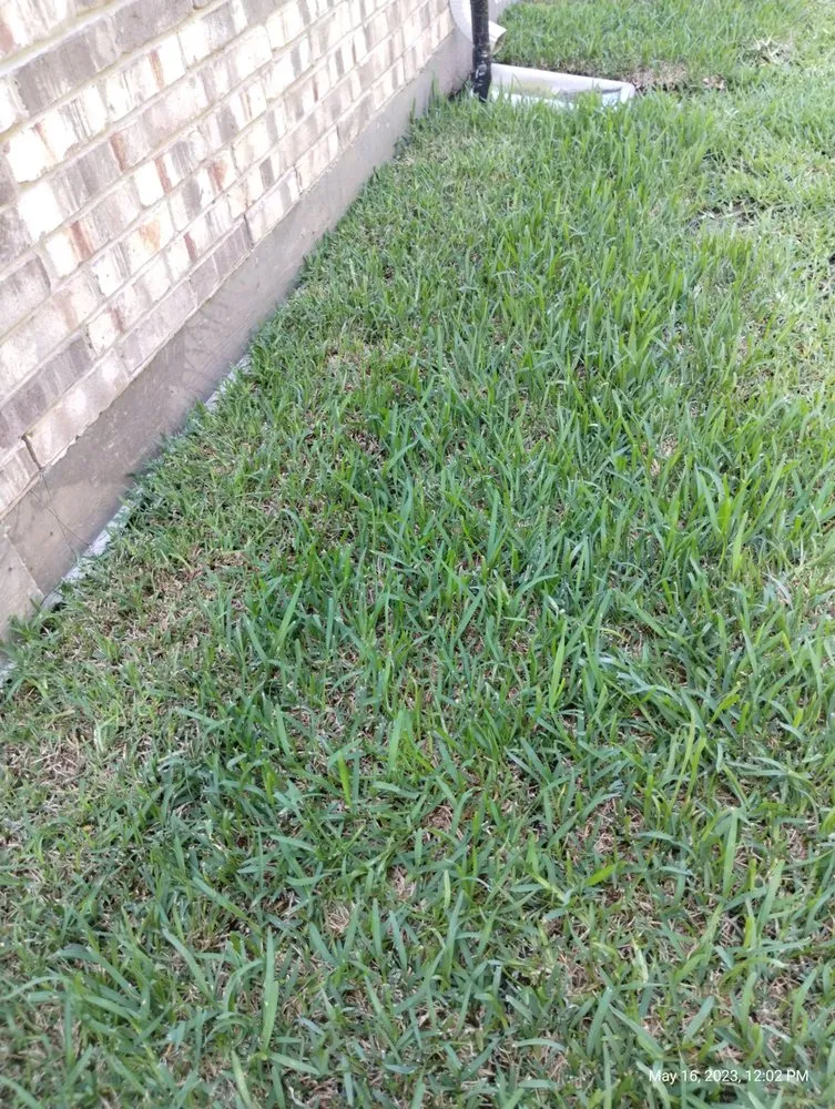 Local outdoor landscaping in Katy, TX - 19Rozez