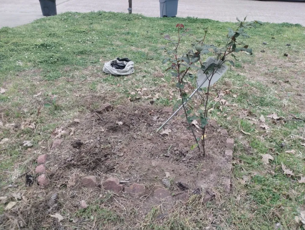 Trusted landscape installation for homes in Katy, TX by 19Rozez