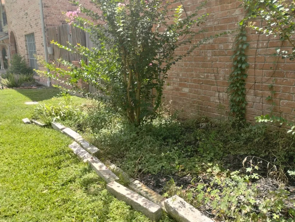 Trusted landscape installation experts serving Katy, TX - 19Rozez