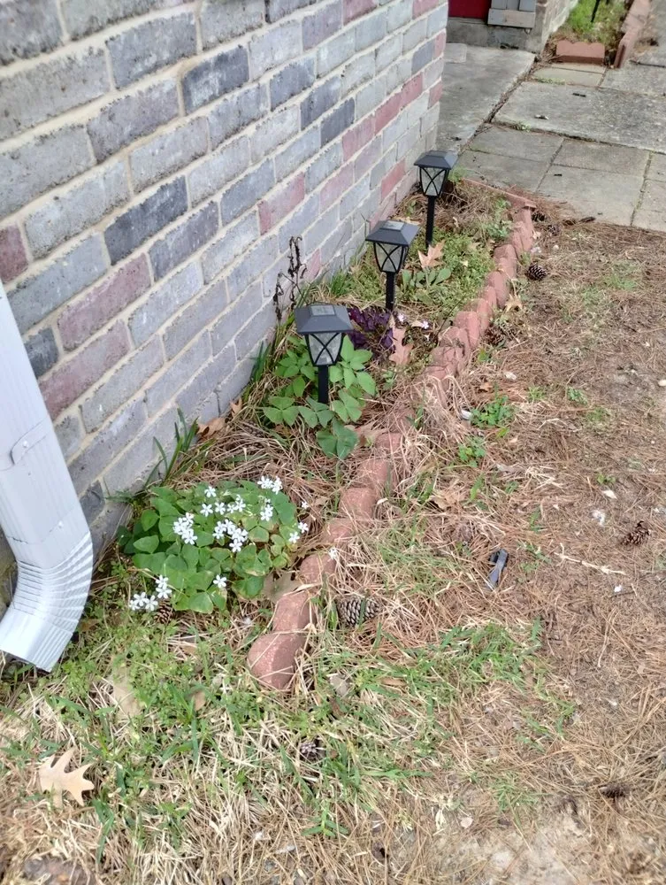 Local residential landscaping in Katy, TX by 19Rozez