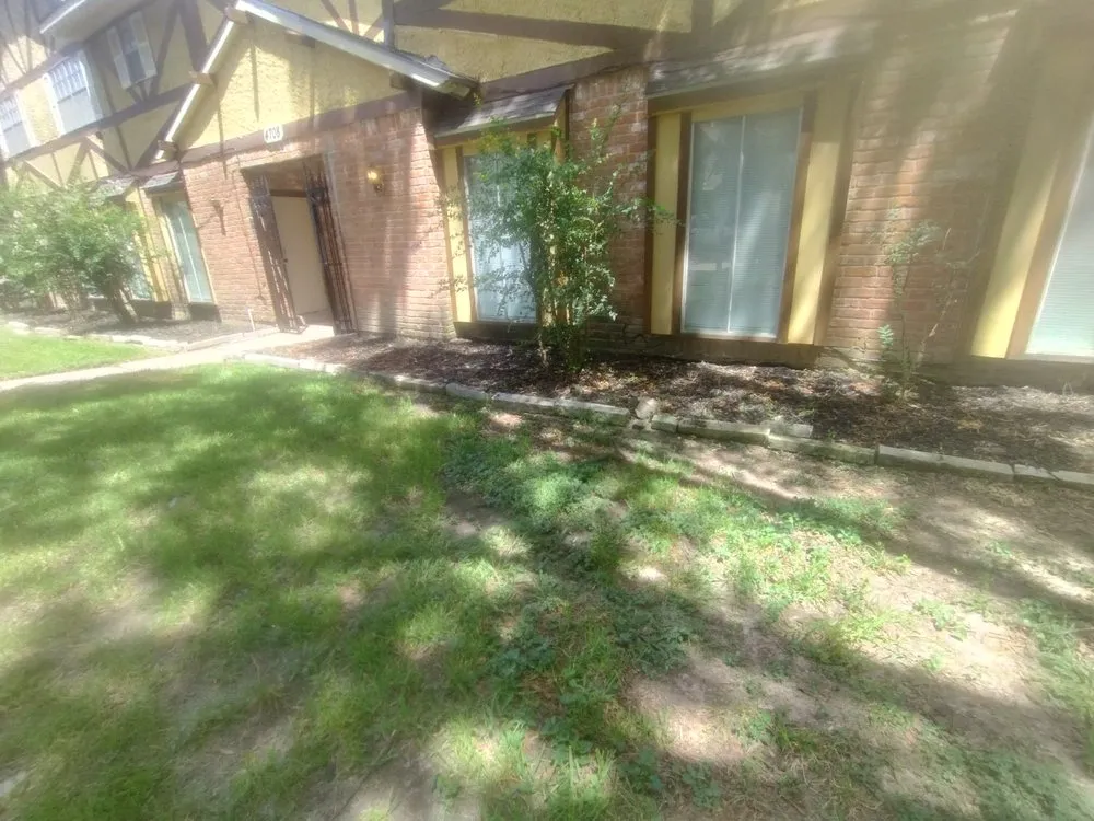 Reliable landscaping services in Katy, TX by 19Rozez