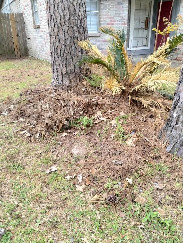 Expert residential landscaping for beautiful yards in Katy, TX by 19Rozez