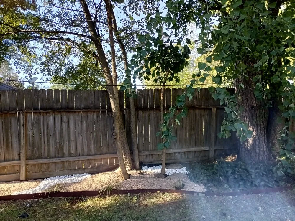 Affordable landscape design in Katy, TX - 19Rozez