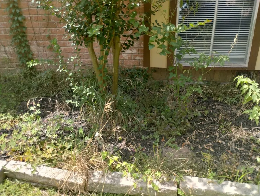 Trusted landscape installation experts serving Katy, TX - 19Rozez